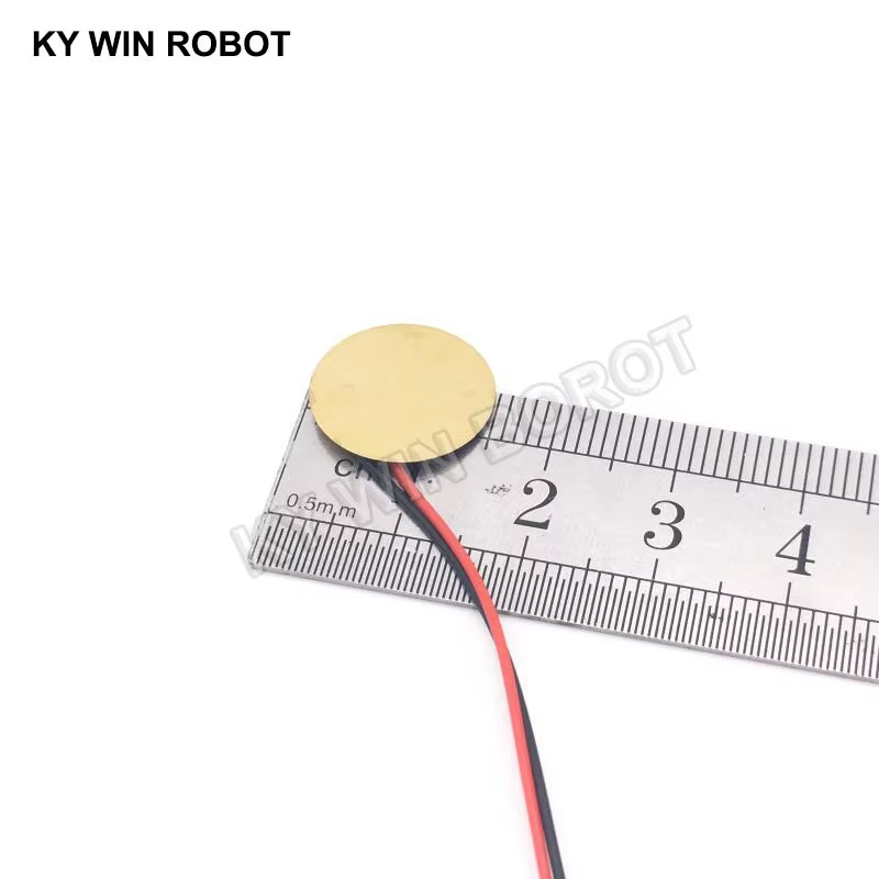 10 Pcs Piezoelectric Piezo Cer - R/Diy Electronics 评论和价格