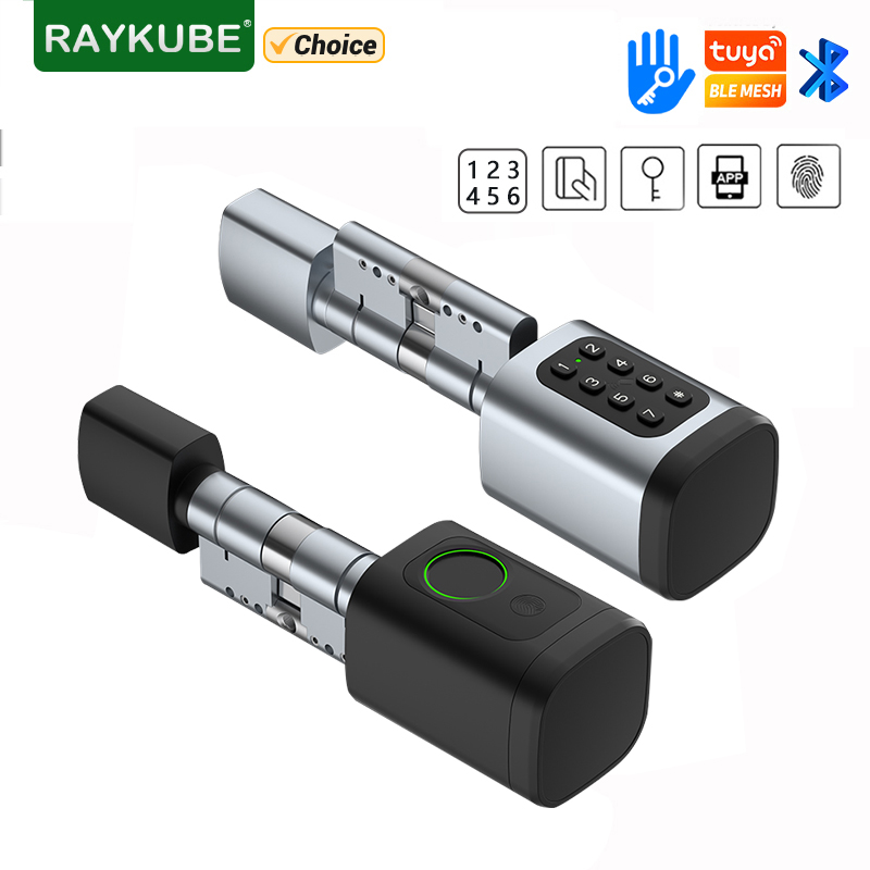 RAYKUBE V1 Tuya BLE TT Lock Sm - Diy Waterproof Electronics 评论和价格