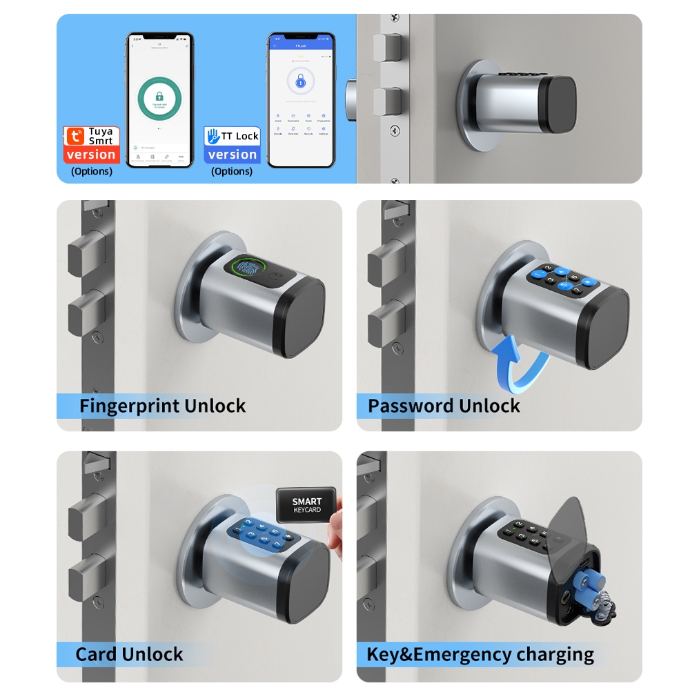 RAYKUBE V1 Tuya BLE TT Lock Sm - Diy Waterproof Electronics 评论和价格