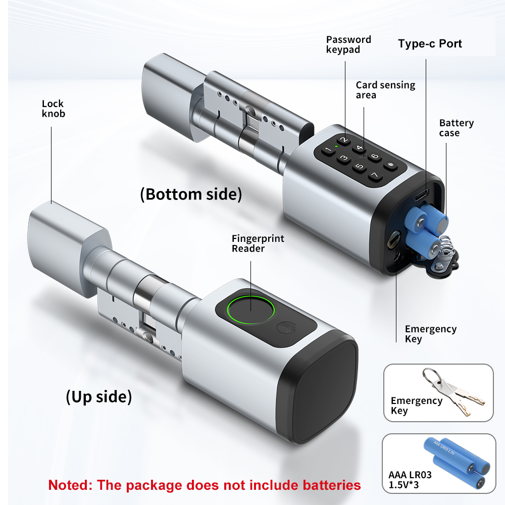 RAYKUBE V1 Tuya BLE TT Lock Sm - Diy Waterproof Electronics 评论和价格